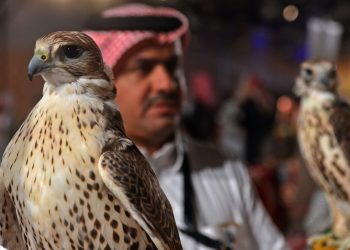 الفرق بين الشعار والأيقونة والرمز