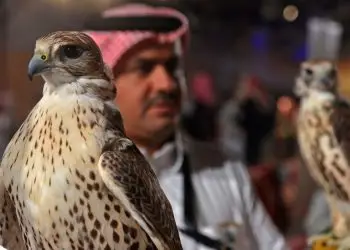 الفرق بين الشعار والأيقونة والرمز